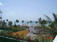 Hotel Las Palmeras Residence sea